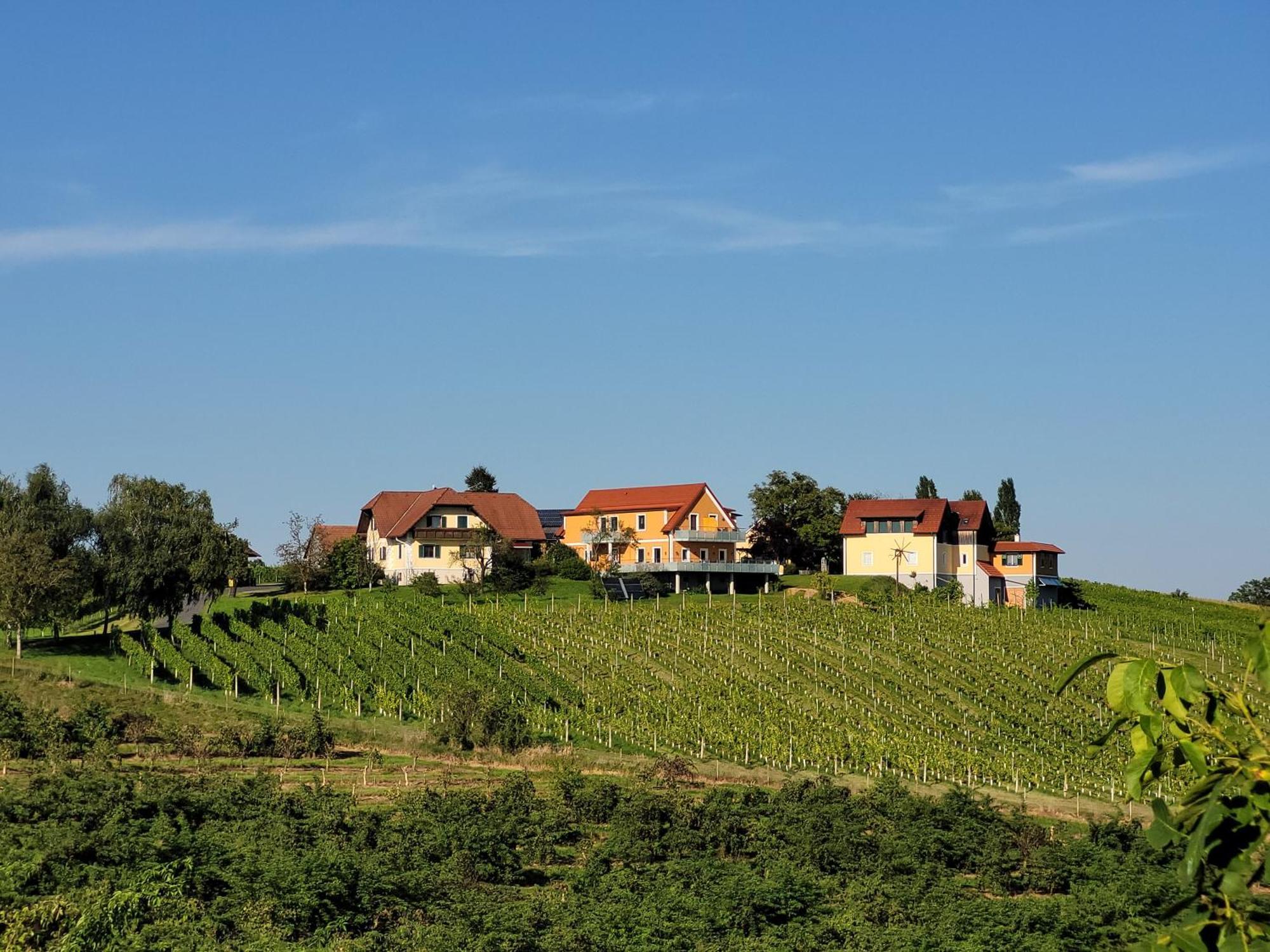 Sankt Peter am OttersbachWeinhof Reichmann住宿加早餐旅馆 外观 照片